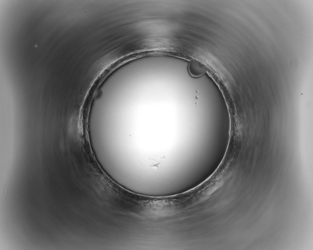 X0000096720883200802051440