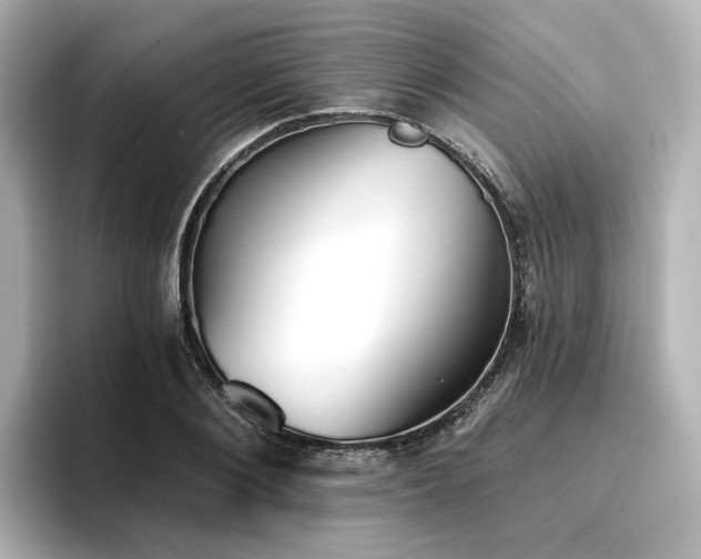 X0000096720884200802051440