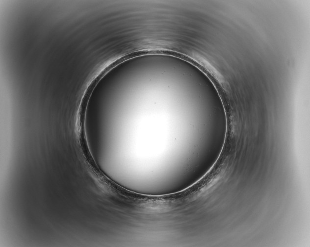 X0000096720885200802051440