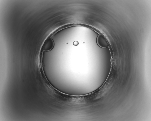 X0000096720887200802051440