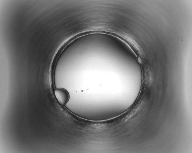 X0000096720888200802051440