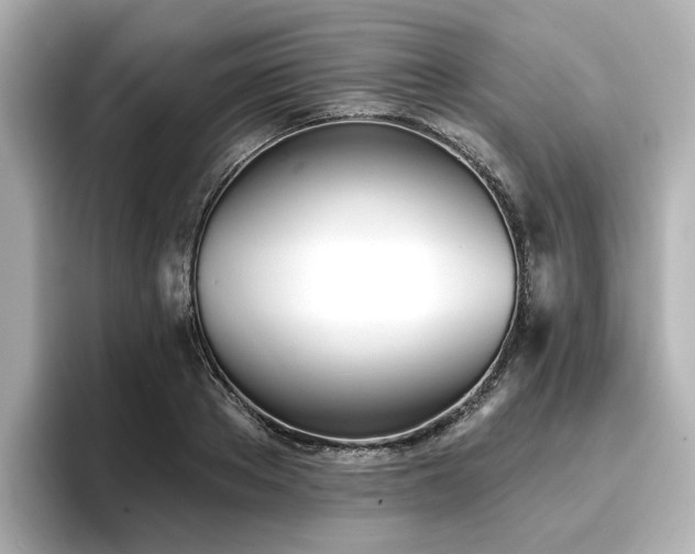 X0000096720889200802051440