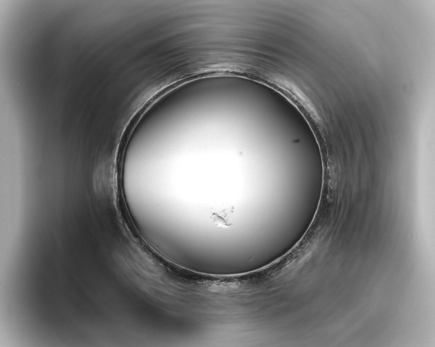 X0000096720890200802051440