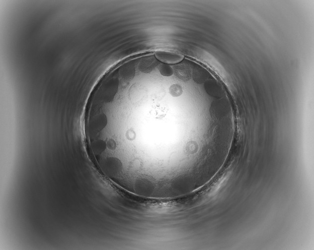 X0000096720891200802051440