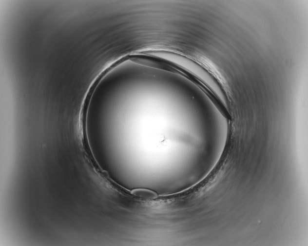 X0000096720892200802051440