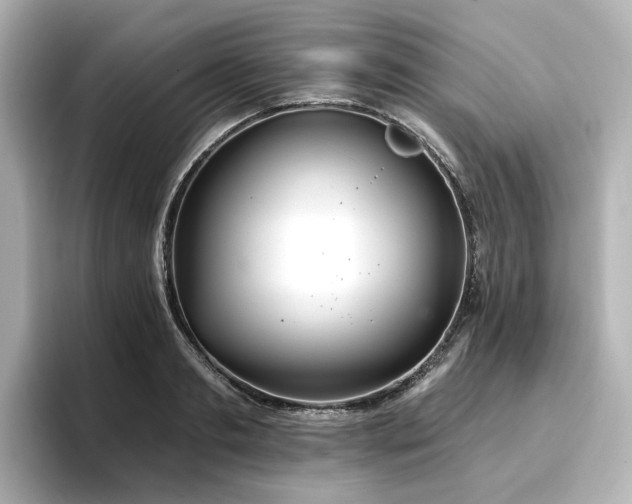 X0000096720893200802051440
