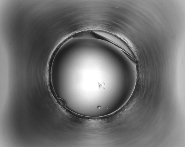 X0000096720894200802051440