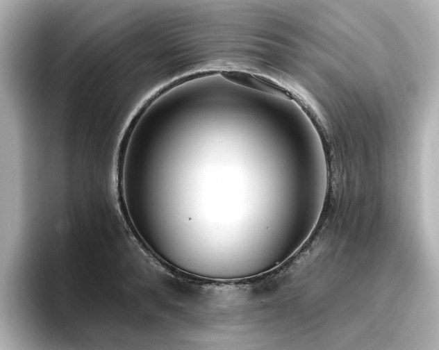 X0000096720896200802051440