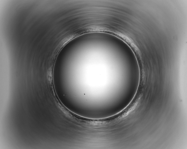 X0000096720897200802051440