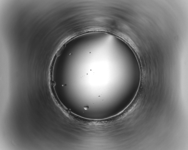 X0000096720898200802051440