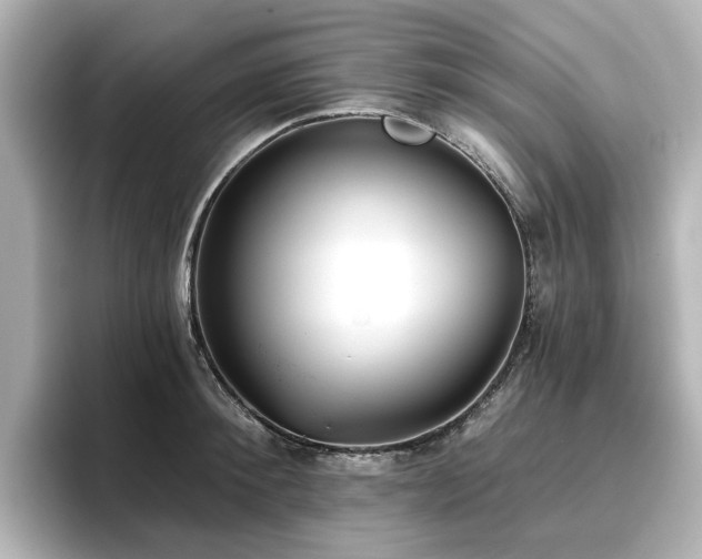 X0000096720900200802051440