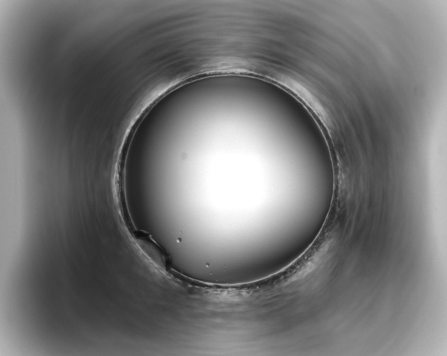 X0000096720901200802051440