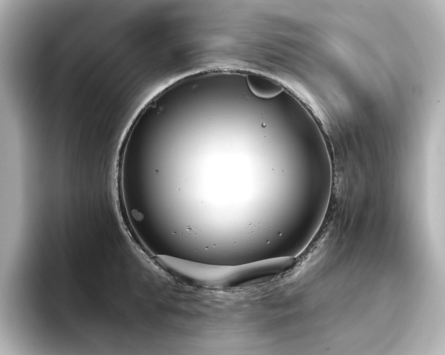 X0000096720903200802051440