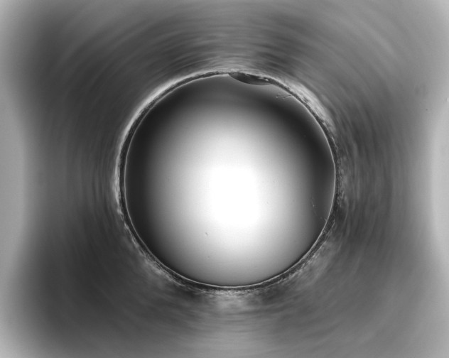 X0000096720904200802051440