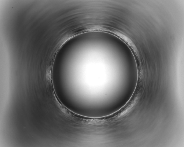 X0000096720905200802051440