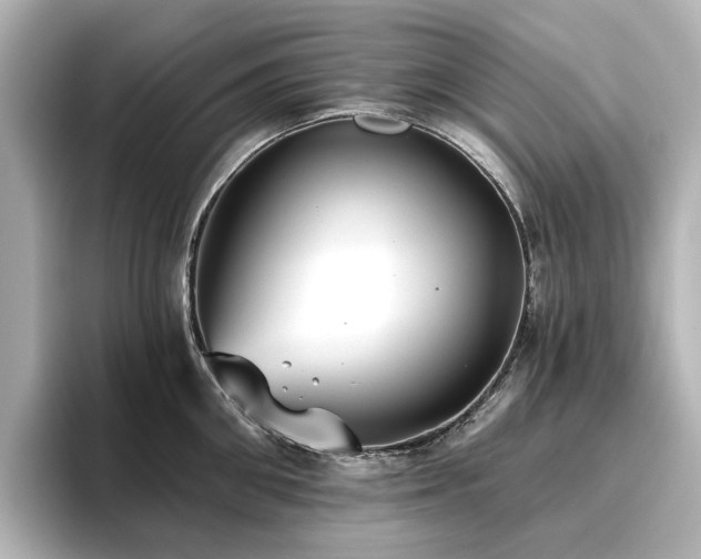 X0000096720906200802051440