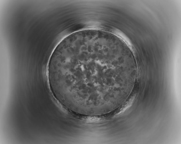 X0000096720907200802051440