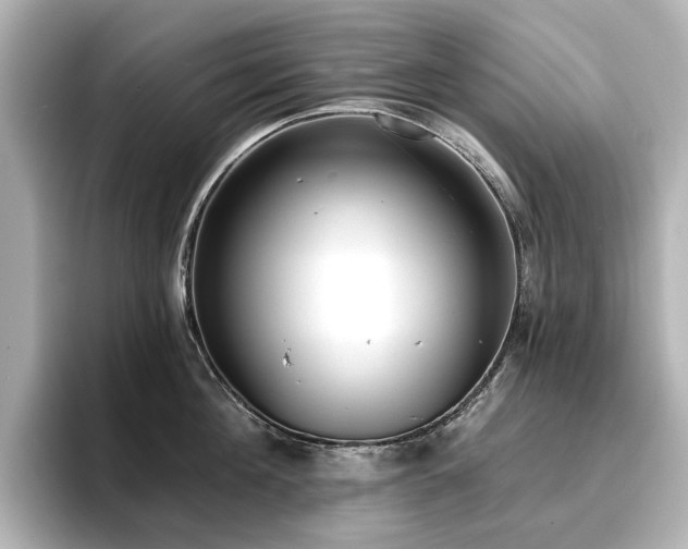 X0000096720908200802051440