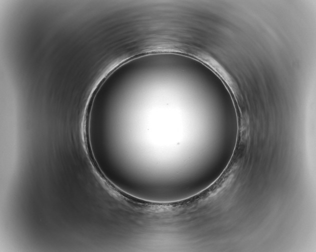 X0000096720909200802051440