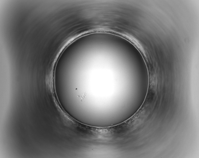 X0000096720911200802051440