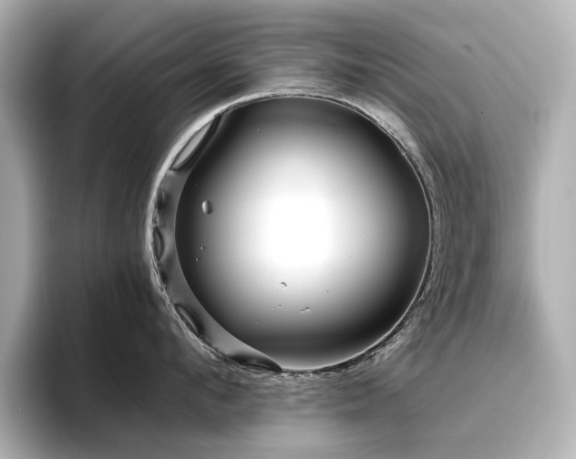 X0000096720912200802051440