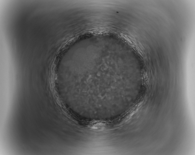 X0000096720913200802051439