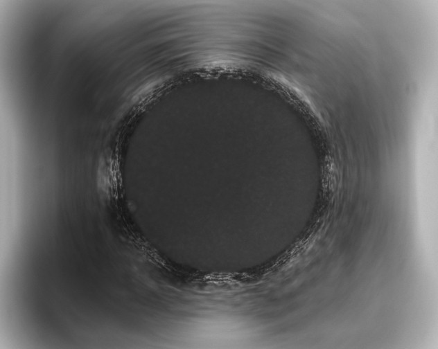 X0000096720918200802051439
