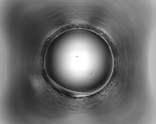 X0000096720919200802051439