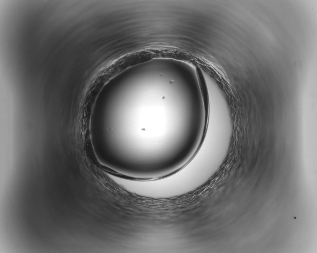 X0000096720920200802051439
