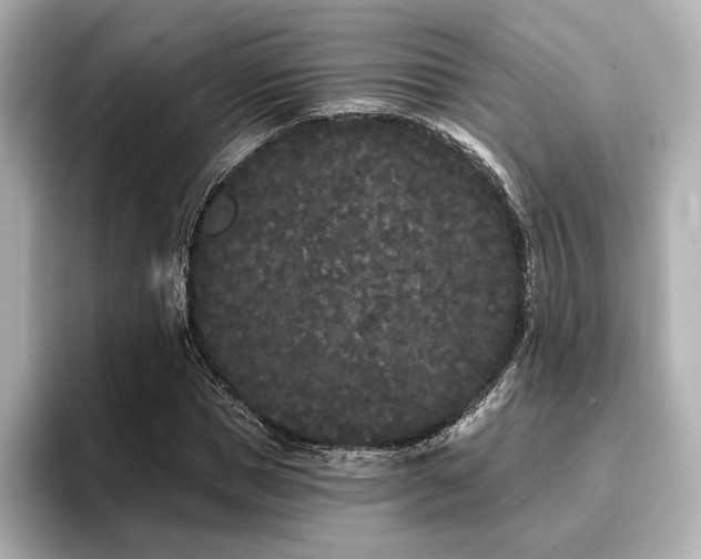 X0000096720921200802051439