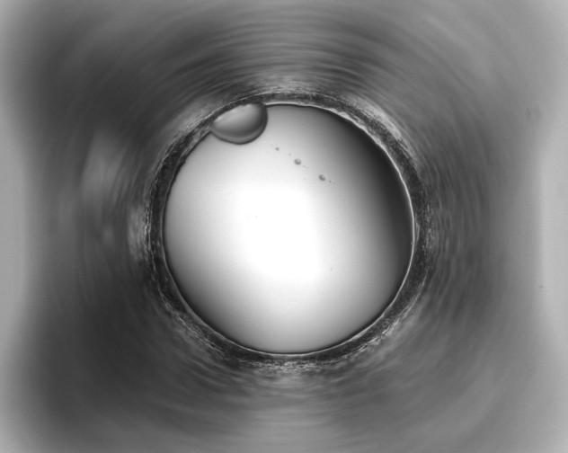 X0000096720922200802051439