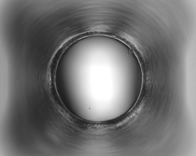 X0000096720923200802051440