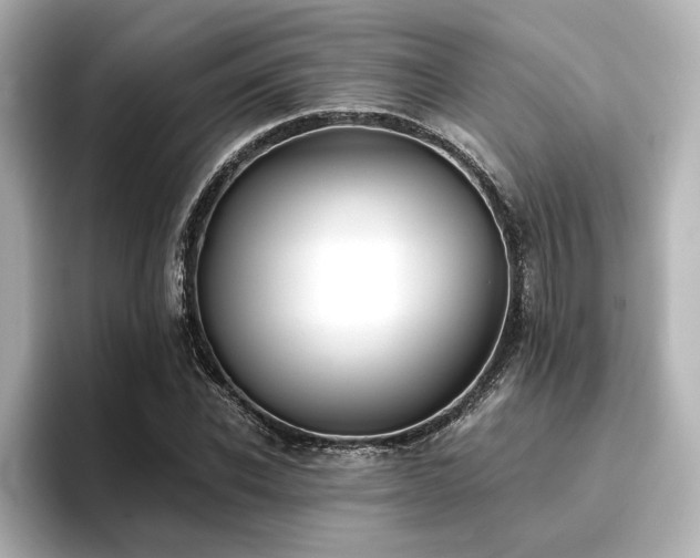 X0000096720926200802051440
