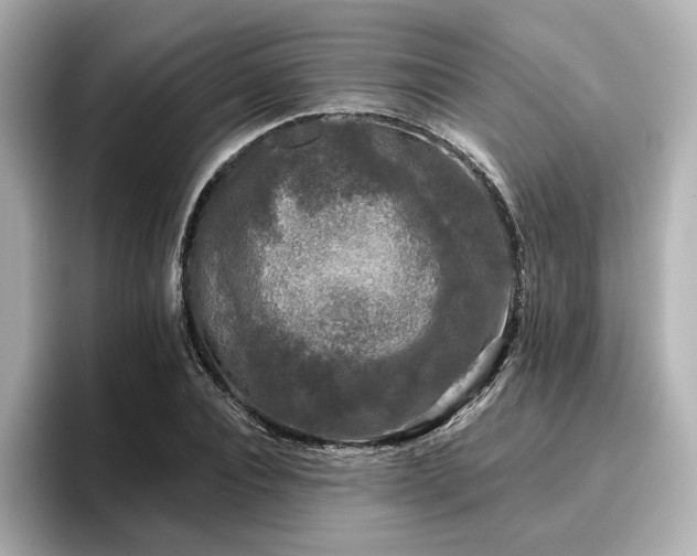 X0000096720928200802051440
