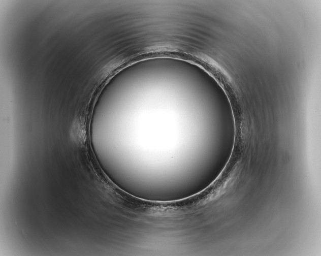 X0000096720929200802051440