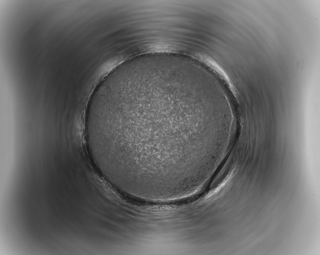 X0000096720930200802051440