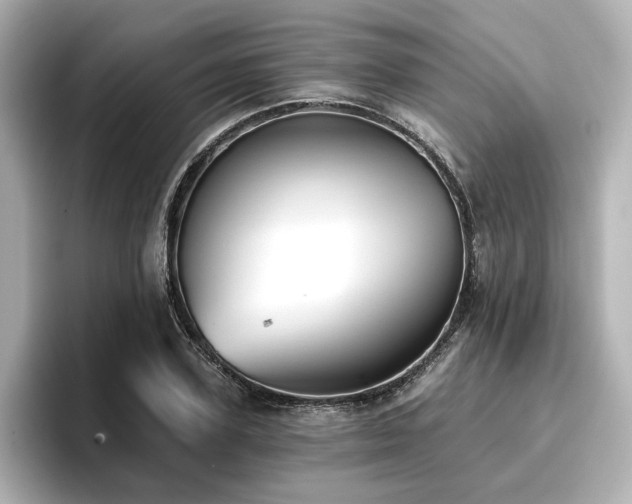 X0000096720931200802051440