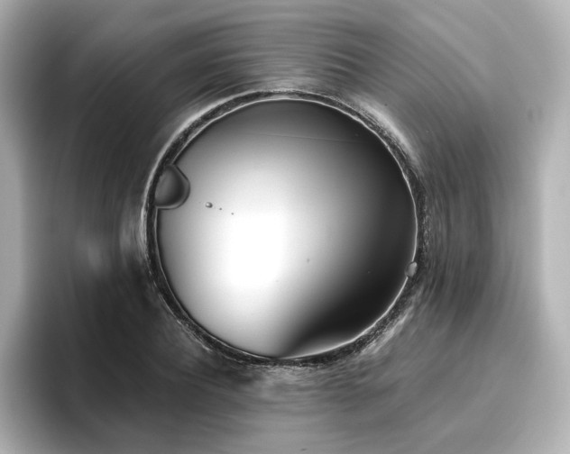 X0000096720932200802051440