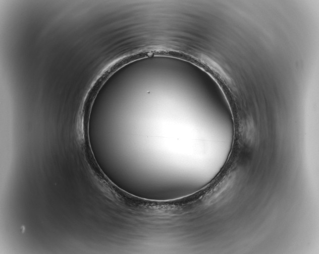 X0000096720934200802051440