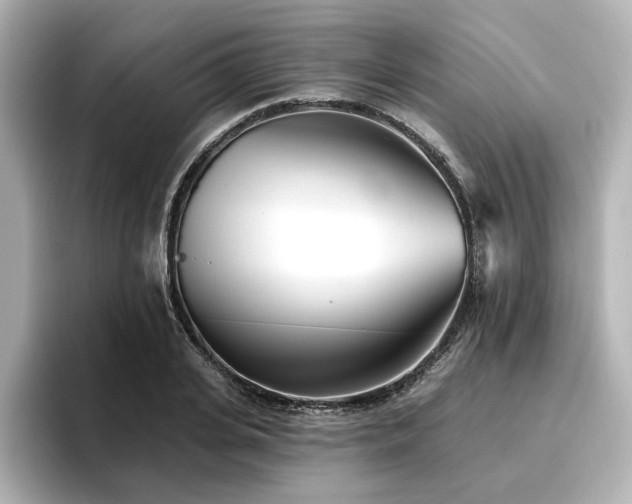X0000096720935200802051440