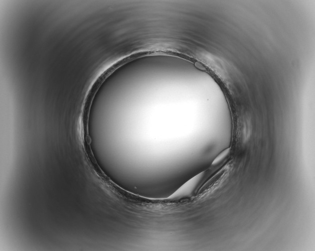 X0000096720936200802051440