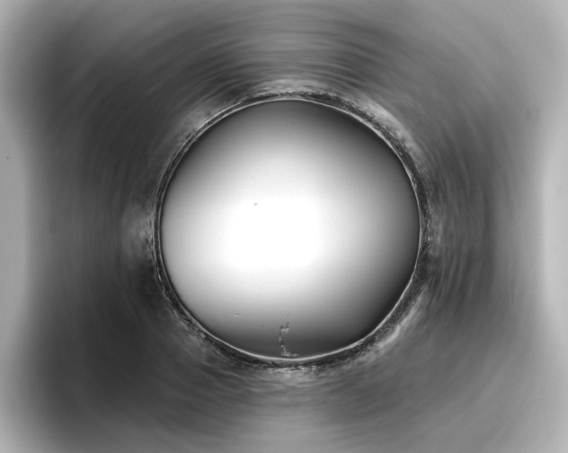 X0000096720937200802051440