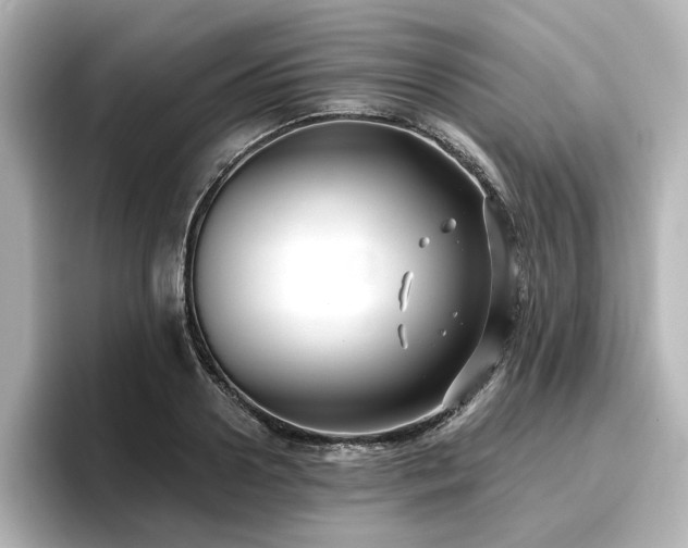 X0000096720938200802051440