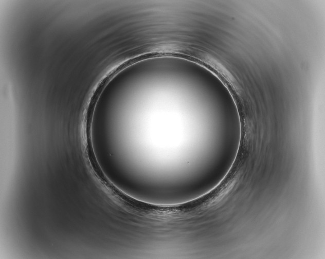 X0000096720939200802051440