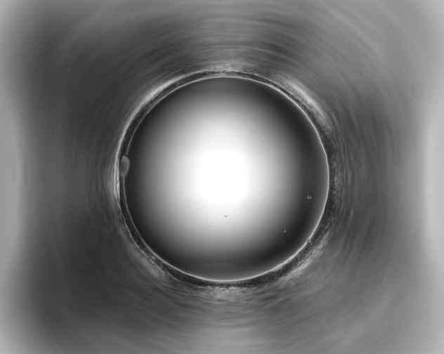X0000096720940200802051440