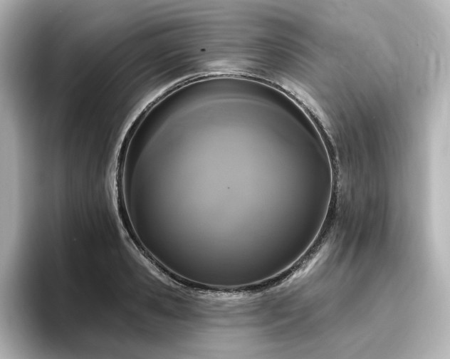 X0000096720941200802051440