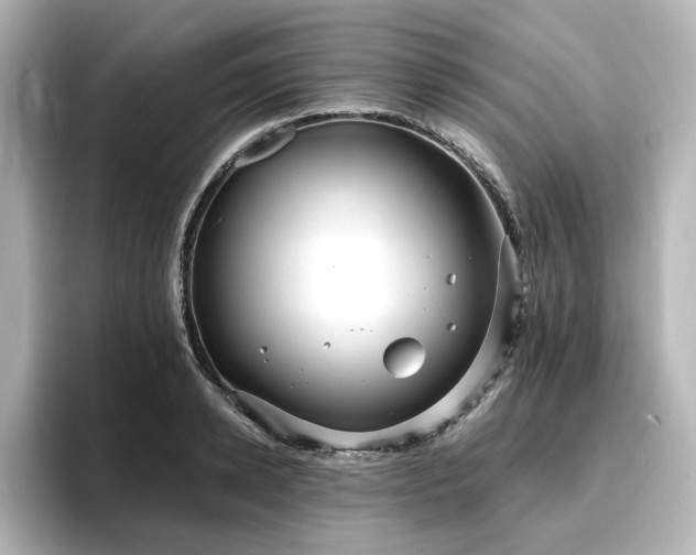 X0000096720942200802051440