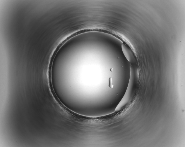 X0000096720943200802051440
