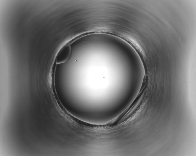 X0000096720944200802051440