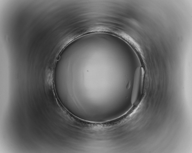 X0000096720945200802051440